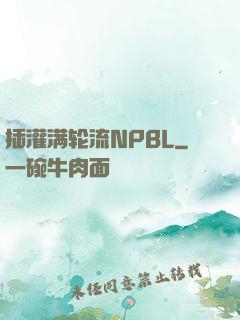 插灌满轮流NPBL