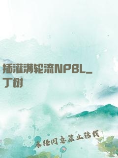 插灌满轮流NPBL