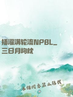 插灌满轮流NPBL