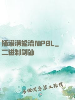 插灌满轮流NPBL