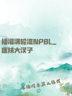 插灌满轮流NPBL