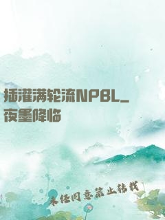 插灌满轮流NPBL