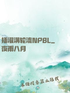 插灌满轮流NPBL