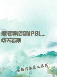 插灌满轮流NPBL