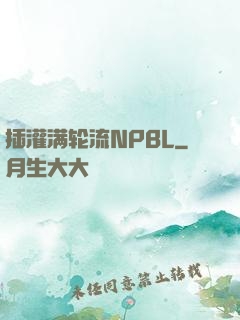 插灌满轮流NPBL