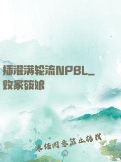 插灌满轮流NPBL