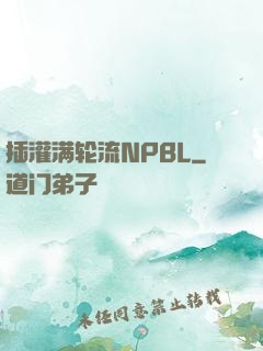 插灌满轮流NPBL