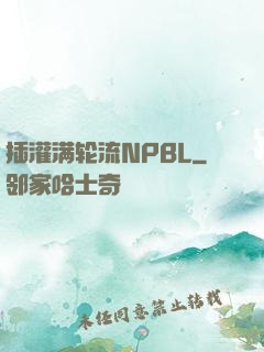 插灌满轮流NPBL