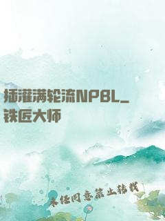 插灌满轮流NPBL