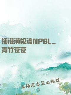 插灌满轮流NPBL