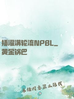 插灌满轮流NPBL