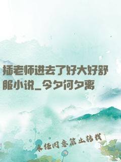 插老师进去了好大好舒服小说