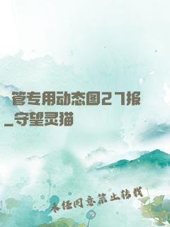 摥管专用动态图27报