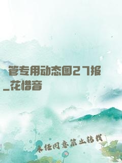 摥管专用动态图27报