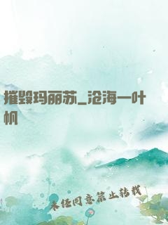 摧毁玛丽苏