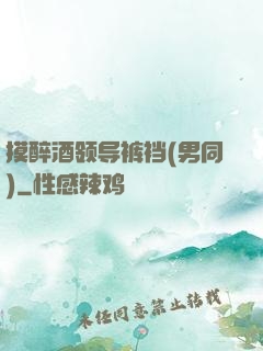摸醉酒领导裤裆(男同)