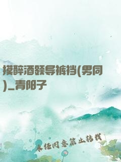 摸醉酒领导裤裆(男同)