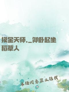 摸金天师.