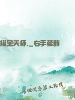 摸金天师.