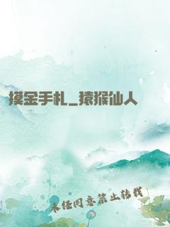 摸金手札