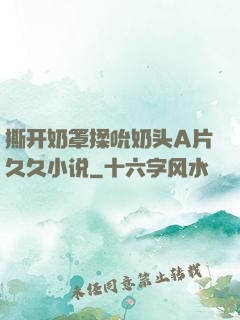 撕开奶罩揉吮奶头A片久久小说