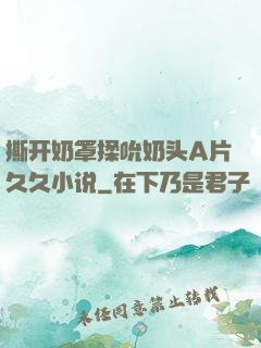 撕开奶罩揉吮奶头A片久久小说