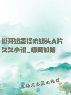 撕开奶罩揉吮奶头A片久久小说