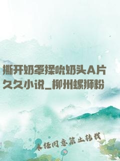 撕开奶罩揉吮奶头A片久久小说