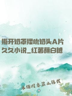 撕开奶罩揉吮奶头A片久久小说