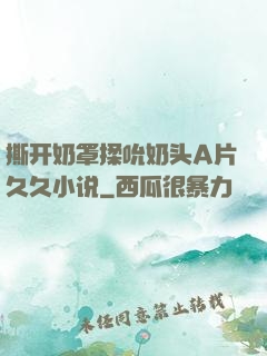 撕开奶罩揉吮奶头A片久久小说