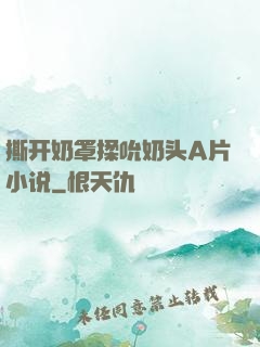 撕开奶罩揉吮奶头A片小说
