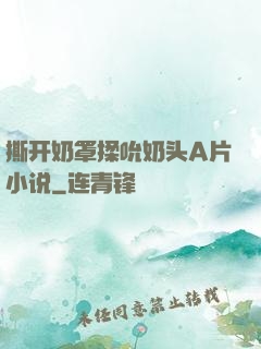 撕开奶罩揉吮奶头A片小说