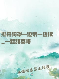 撕开胸罩一边亲一边摸
