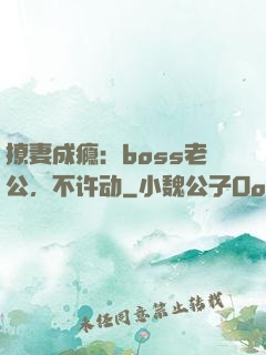 撩妻成瘾：boss老公，不许动