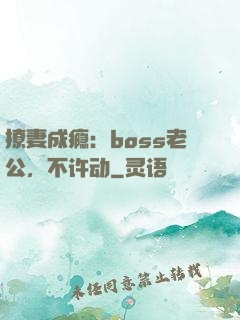 撩妻成瘾：boss老公，不许动
