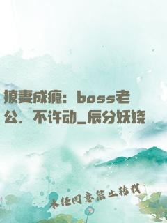 撩妻成瘾：boss老公，不许动
