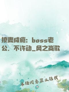 撩妻成瘾：boss老公，不许动
