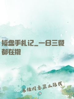 操盘手札记