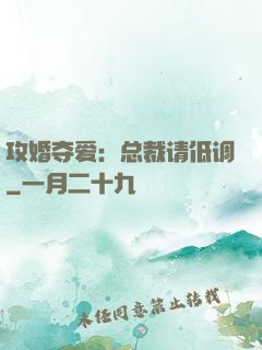 攻婚夺爱：总裁请低调