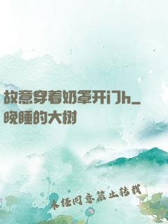 故意穿着奶罩开门h