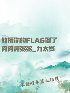 教授你的FLAG倒了肉肉炖粥粥
