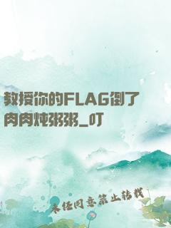 教授你的FLAG倒了肉肉炖粥粥