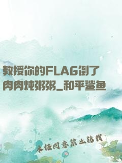 教授你的FLAG倒了肉肉炖粥粥