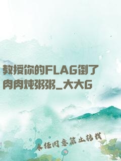教授你的FLAG倒了肉肉炖粥粥