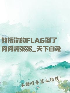 教授你的FLAG倒了肉肉炖粥粥