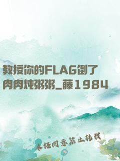 教授你的FLAG倒了肉肉炖粥粥