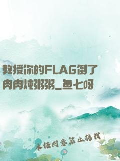 教授你的FLAG倒了肉肉炖粥粥