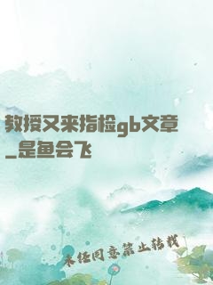 教授又来指检gb文章