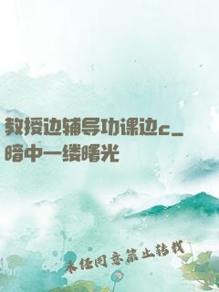 教授边辅导功课边c