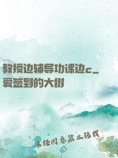 教授边辅导功课边c